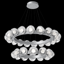 Hammerton CHB0095-2T-CS-ZC-CA1-L3 - Luna Two-Tier Radial Ring