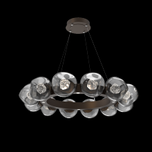 Hammerton CHB0095-36-FB-ZS-CA1-L1 - Luna Radial Ring - 36-Inch