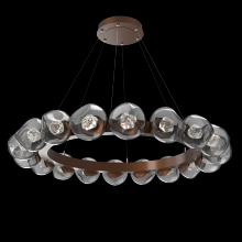 Hammerton CHB0095-48-BB-ZS-CA1-L1 - Luna Radial Ring - 48-Inch