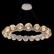 Hammerton CHB0095-48-BS-FB-CA1-L1 - Luna Radial Ring - 48-Inch