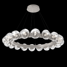 Hammerton CHB0095-48-BS-GC-CA1-L1 - Luna Radial Ring - 48-Inch