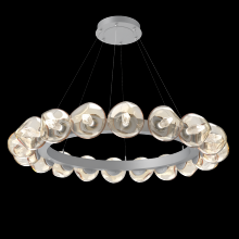 Hammerton CHB0095-48-CS-GA-CA1-L1 - Luna Radial Ring - 48-Inch