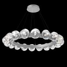 Hammerton CHB0095-48-CS-GC-CA1-L3 - Luna Radial Ring - 48-Inch
