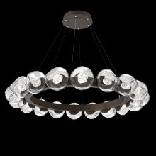 Hammerton CHB0095-48-FB-ZC-CA1-L1 - Luna Radial Ring - 48-Inch