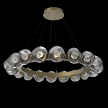 Hammerton CHB0095-48-GB-ZS-CA1-L1 - Luna Radial Ring - 48-Inch