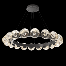 Hammerton CHB0095-48-GP-FA-CA1-L1 - Luna Radial Ring - 48-Inch