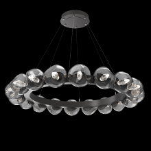 Hammerton CHB0095-48-GP-GS-CA1-L1 - Luna Radial Ring - 48-Inch