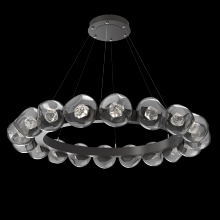 Hammerton CHB0095-48-GP-ZS-CA1-L1 - Luna Radial Ring - 48-Inch
