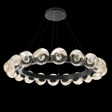 Hammerton CHB0095-48-MB-FA-CA1-L1 - Luna Radial Ring - 48-Inch
