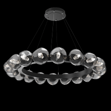 Hammerton CHB0095-48-MB-GS-CA1-L1 - Luna Radial Ring - 48-Inch