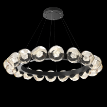 Hammerton CHB0095-48-MB-ZA-CA1-L1 - Luna Radial Ring - 48-Inch