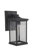 Craftmade ZA2414-TB-C - Medium Wall Mount, Clear