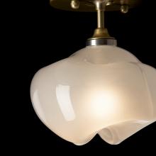 Hubbardton Forge 121372-SKT-86-86-FD0710 - Ume 1-Light Semi-Flush