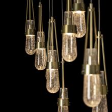 Hubbardton Forge 131200-SKT-STND-86-YG0434 - Link 10-Light Blown Glass Pendant